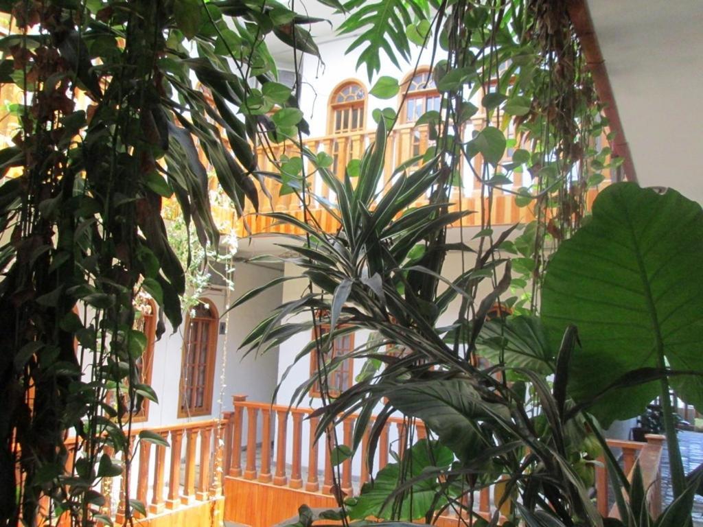 Hotel Guzman Xilitla Bagian luar foto