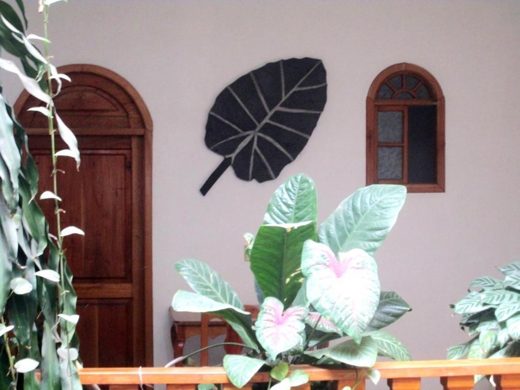 Hotel Guzman Xilitla Bagian luar foto